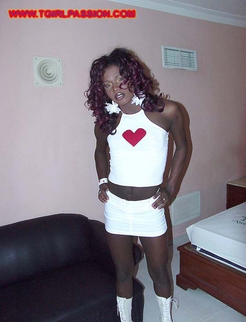 Dominikanische Transe streichelt ihr riesiges schwarzes Liebesspielzeug
 #79342421
