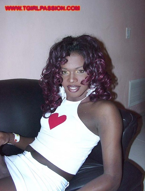 Dominikanische Transe streichelt ihr riesiges schwarzes Liebesspielzeug
 #79342437