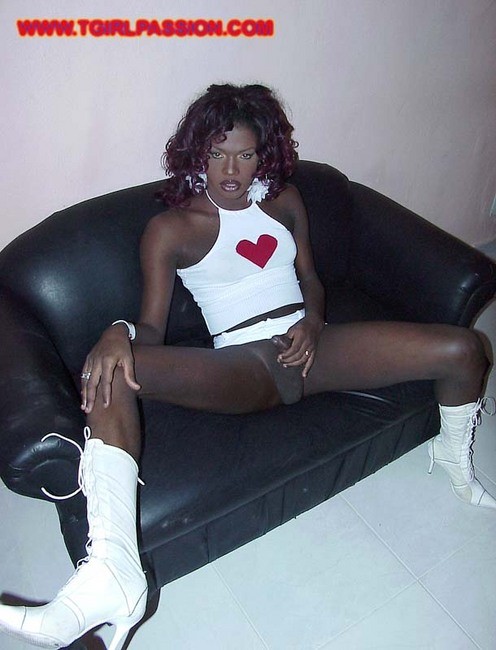 Dominican shemale stroking her huge black love toy #79342471
