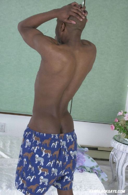 Muscoloso gay d'ebano che si spoglia e mostra il suo grande cazzo
 #76985470