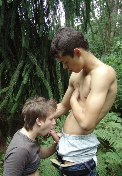 Dark and fair twinks mutual sucking and screwing on a glade #76963009