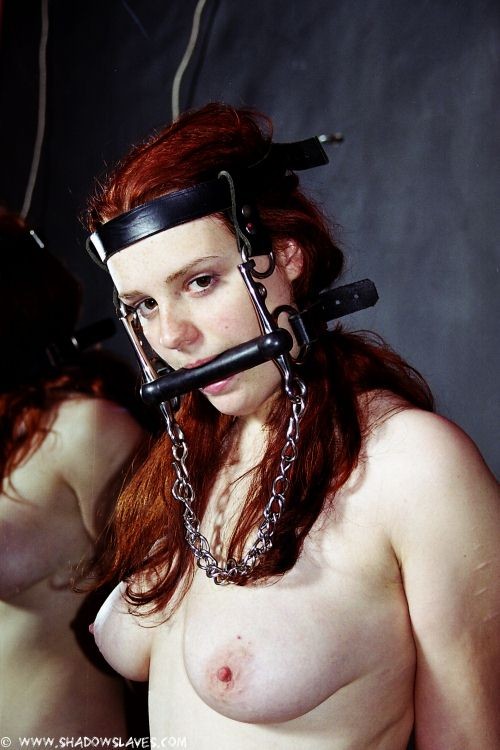 Red head in bondage head harness and clamps #72231512