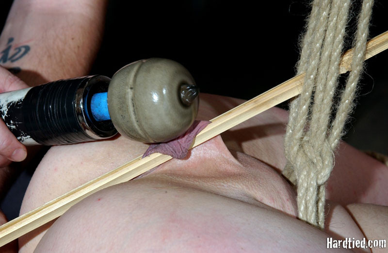 Lila katt quería hacer algo especial hoy 
 #68914072