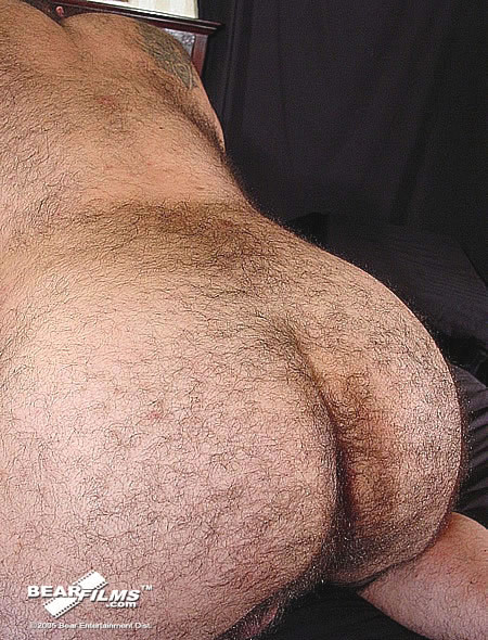 Hey guys. Like my furrr ;- Are you looking for a friendly gay bear community Wan #77001851