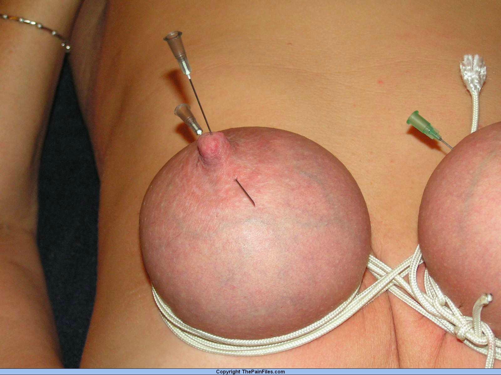 Amateurs needle pain and extreme bdsm tit torments #72199139