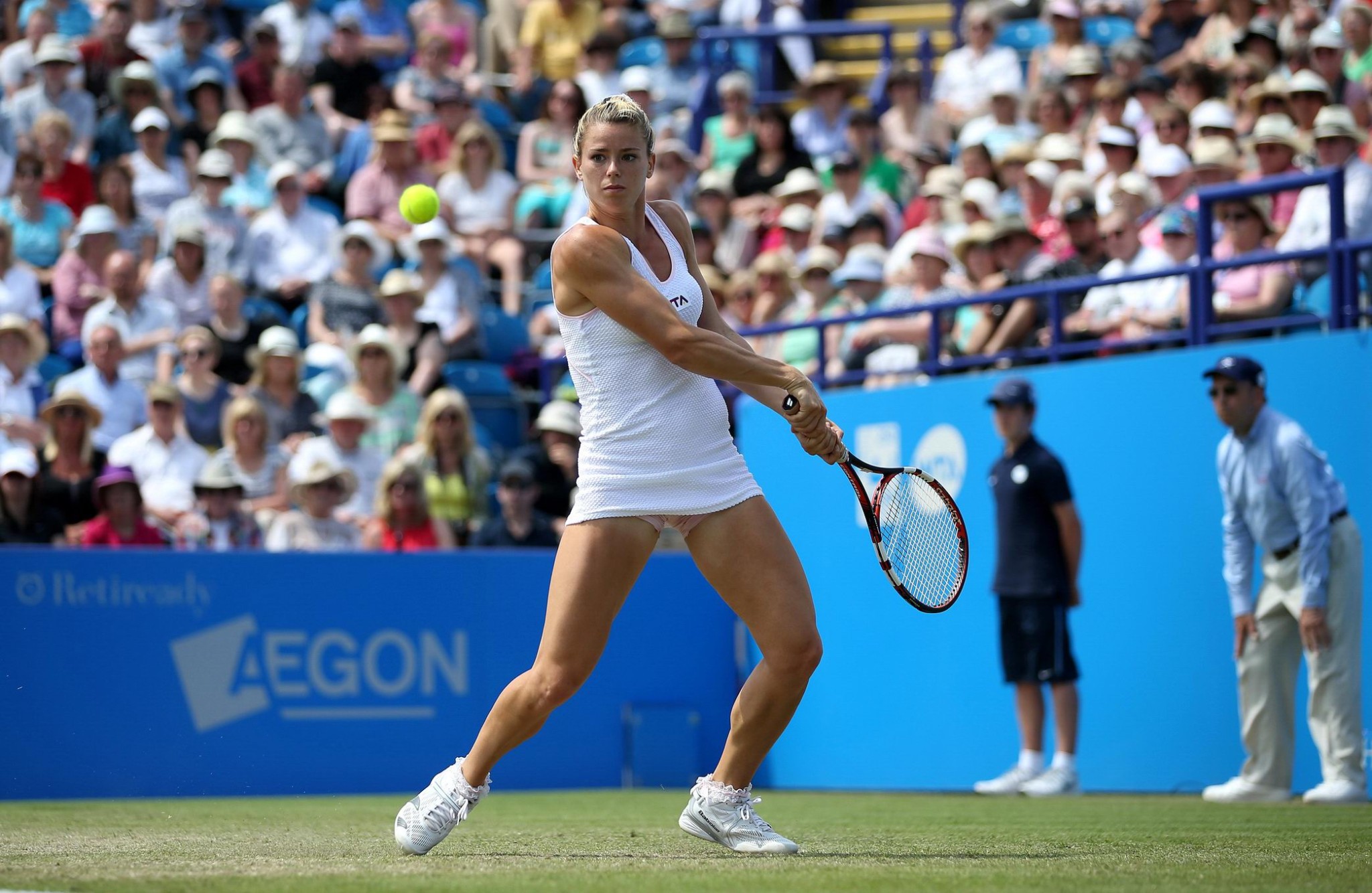 Camila giorgi blinkt ihr verschwitztes Höschen bei der aegon international atp tour
 #75193098