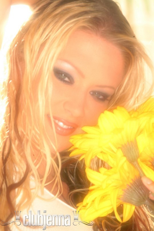 Jenna jameson blonde Streifen mit einer Sonnenblume
 #74021322