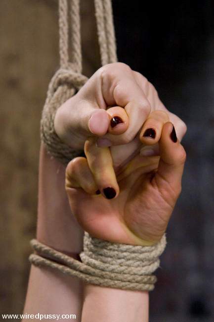 Lorelei Lee and Annette Schwarz struggle in tight rope together #71959012