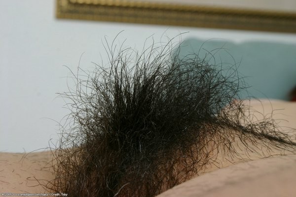 Zephora has a substantial substantial hairy pussy