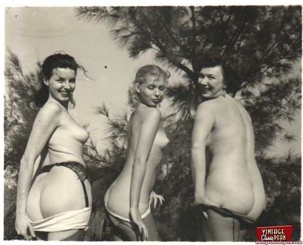 Mehrere Vintage-Mädchen zeigen ihre feinen natürlichen Körper
 #78494065