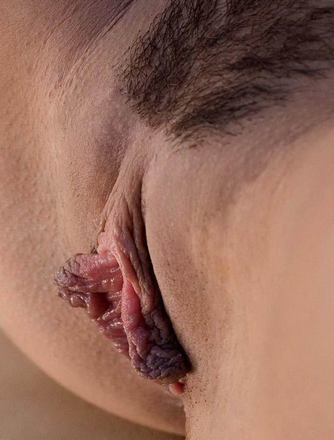 Clítoris y labios vaginales realmente enormes
 #73232454