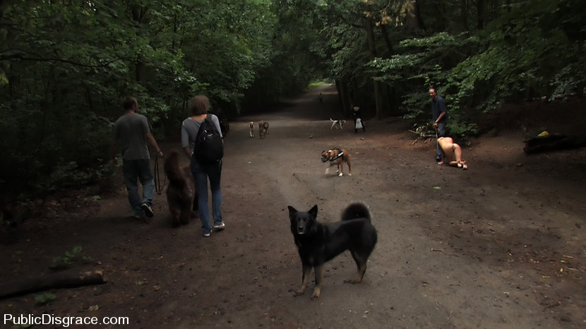 Aliz viene spogliato nudo &amp; portato a fare una passeggiata al parco dei cani!
 #68715428