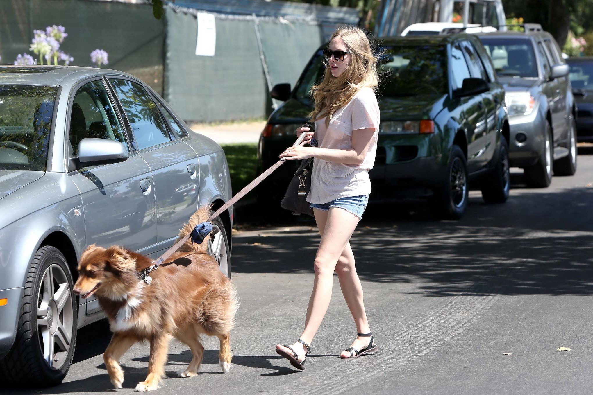 Amanda Seyfried cleavy and leggy wearing top and denim shorts while walking her  #75225430