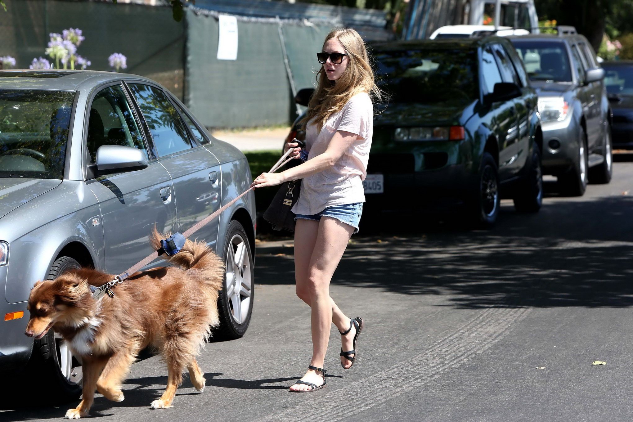 Amanda Seyfried cleavy and leggy wearing top and denim shorts while walking her  #75225433