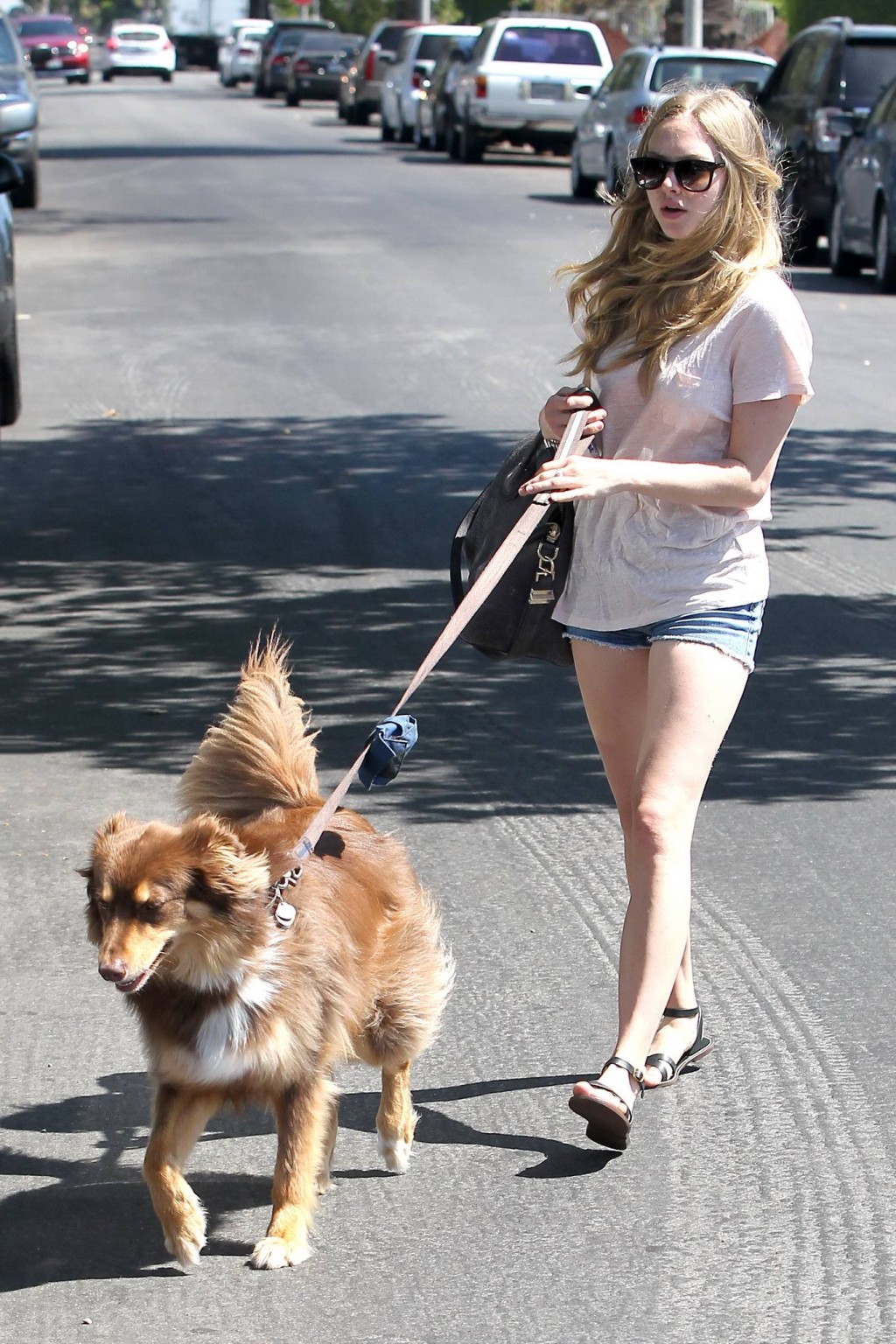 Amanda Seyfried cleavy and leggy wearing top and denim shorts while walking her  #75225437