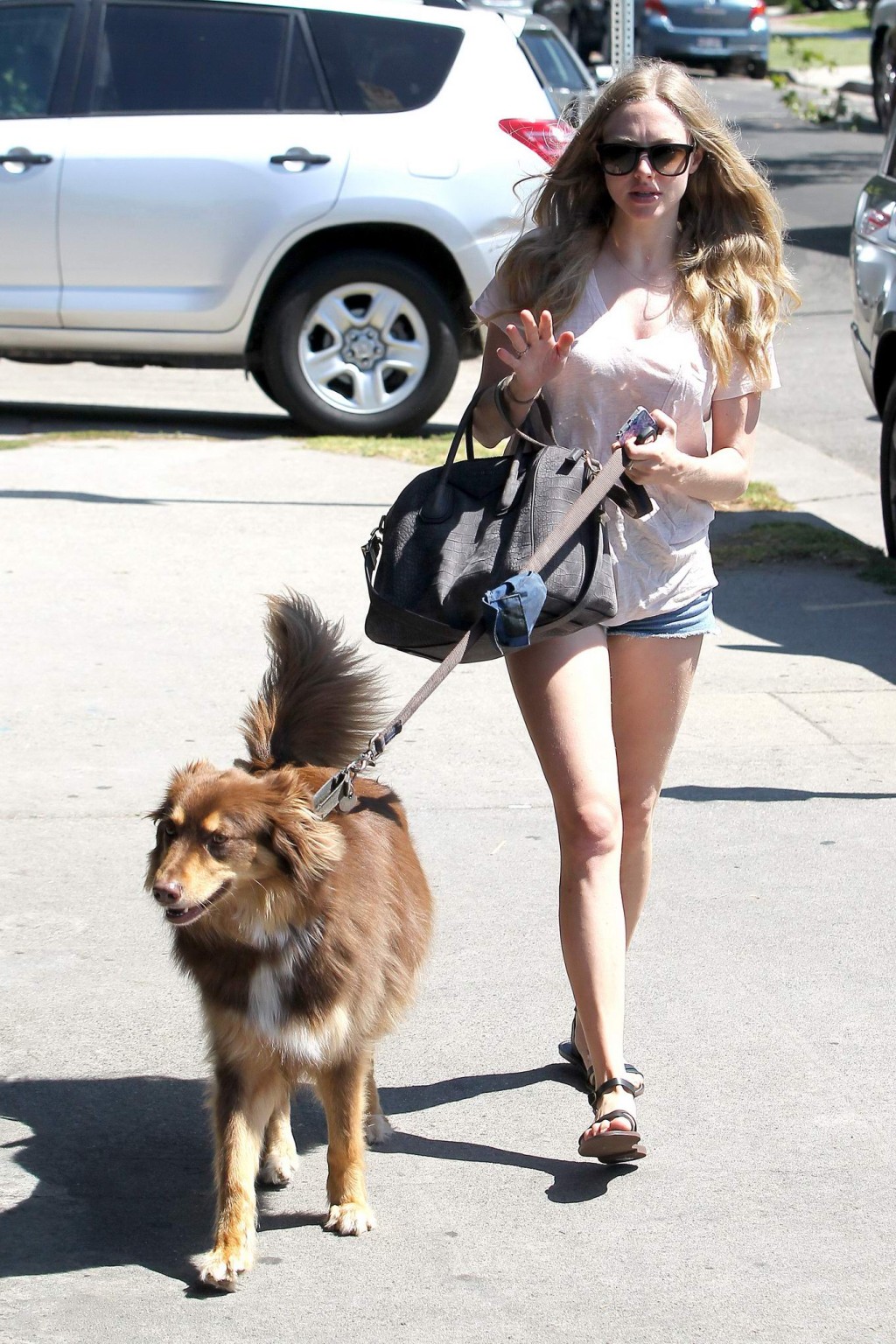 Amanda Seyfried cleavy and leggy wearing top and denim shorts while walking her  #75225446