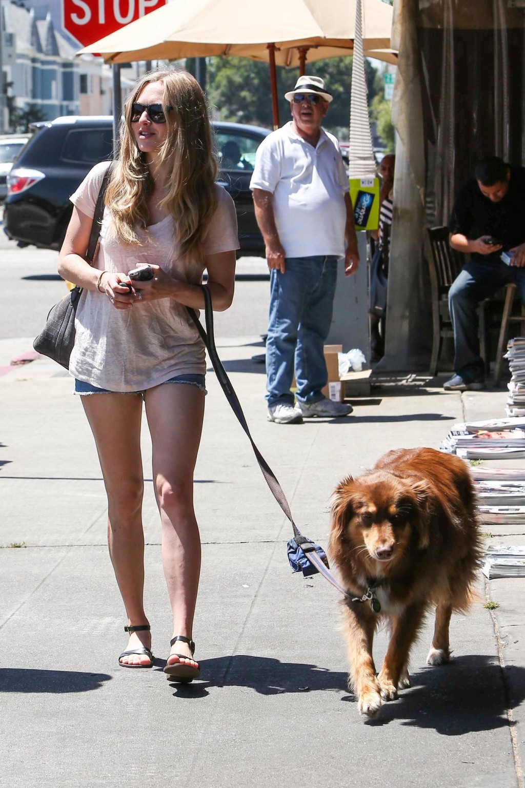 Amanda Seyfried cleavy and leggy wearing top and denim shorts while walking her  #75225451