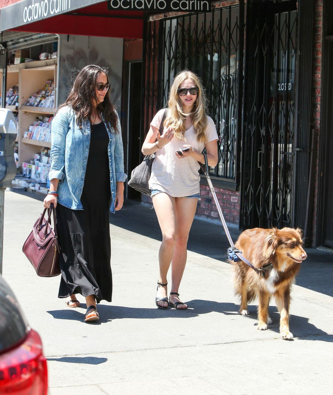 Amanda Seyfried cleavy and leggy wearing top and denim shorts while walking her  #75225458