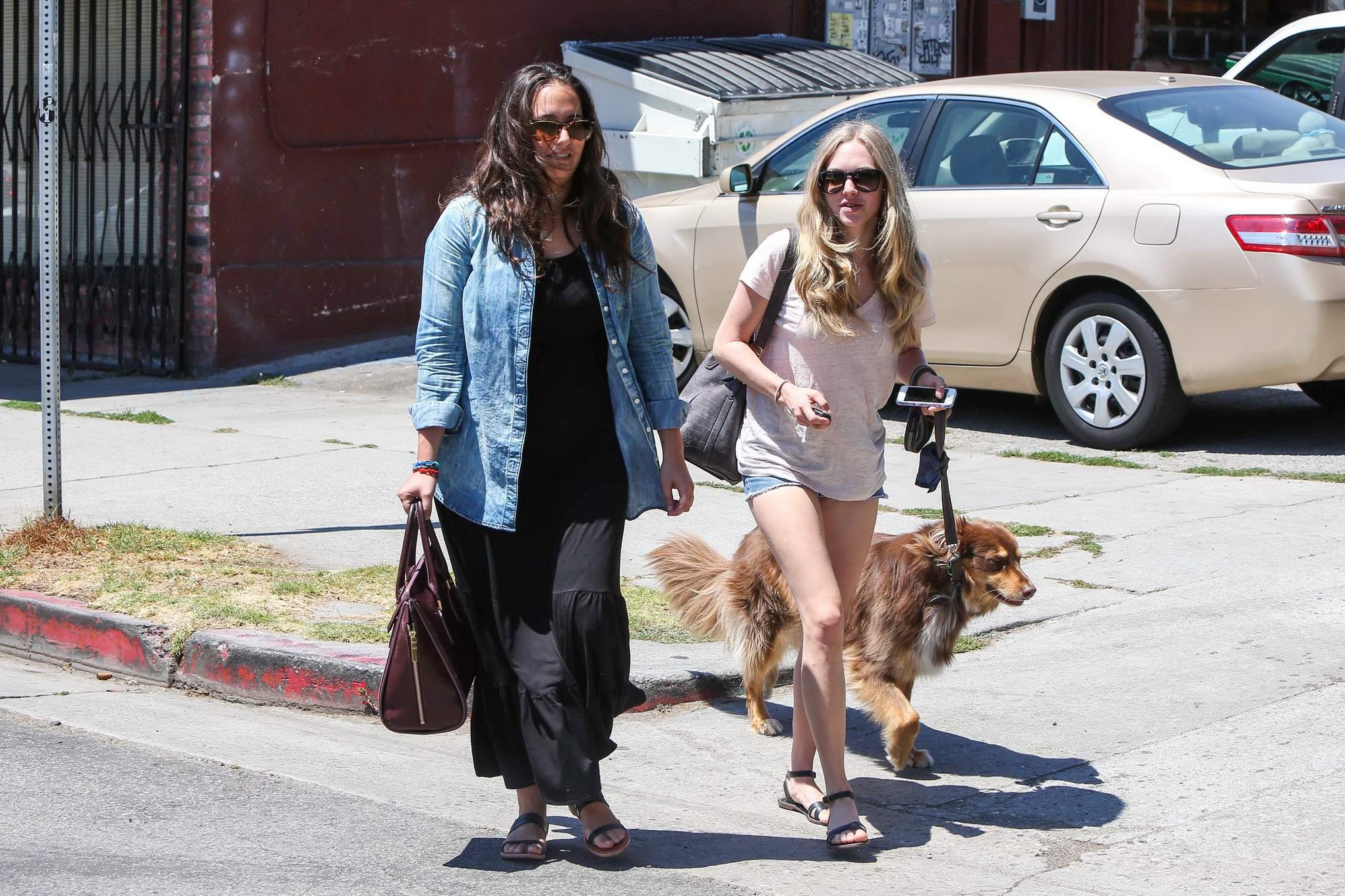 Amanda Seyfried cleavy and leggy wearing top and denim shorts while walking her  #75225466