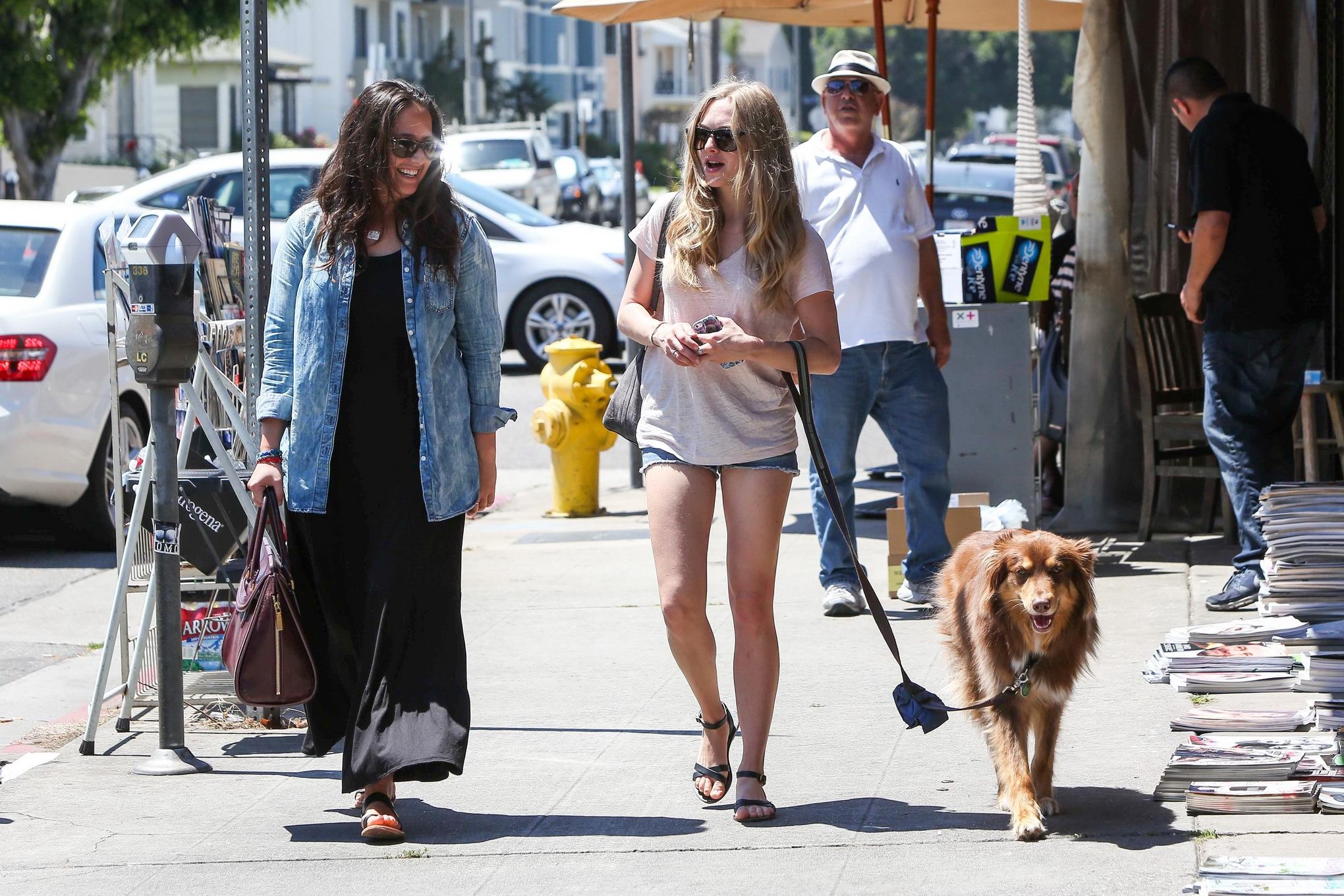 Amanda Seyfried cleavy and leggy wearing top and denim shorts while walking her  #75225477