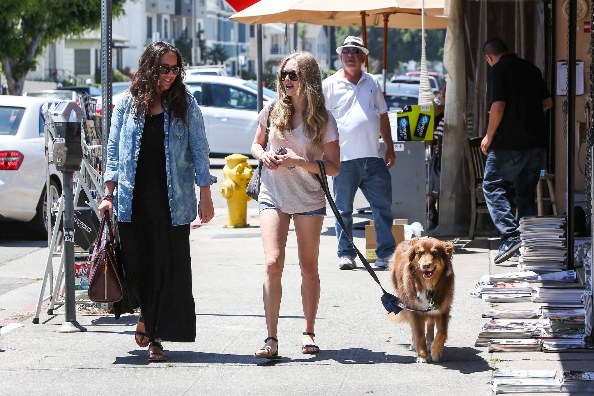Amanda Seyfried cleavy and leggy wearing top and denim shorts while walking her  #75225483
