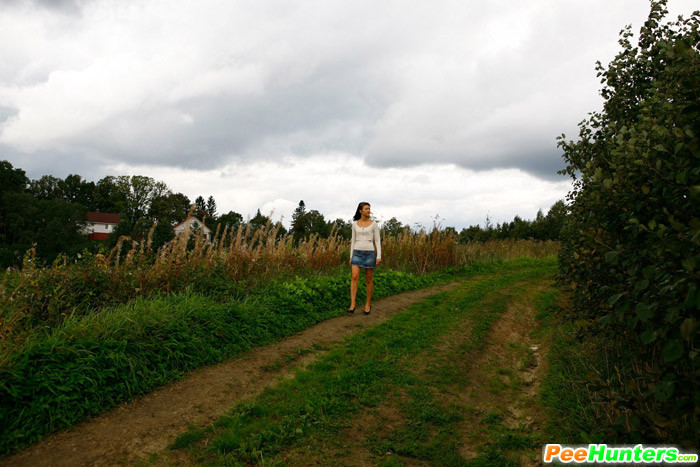 Süßes Brünette-Babe pisst im Sturm auf dem Feld
 #78692044