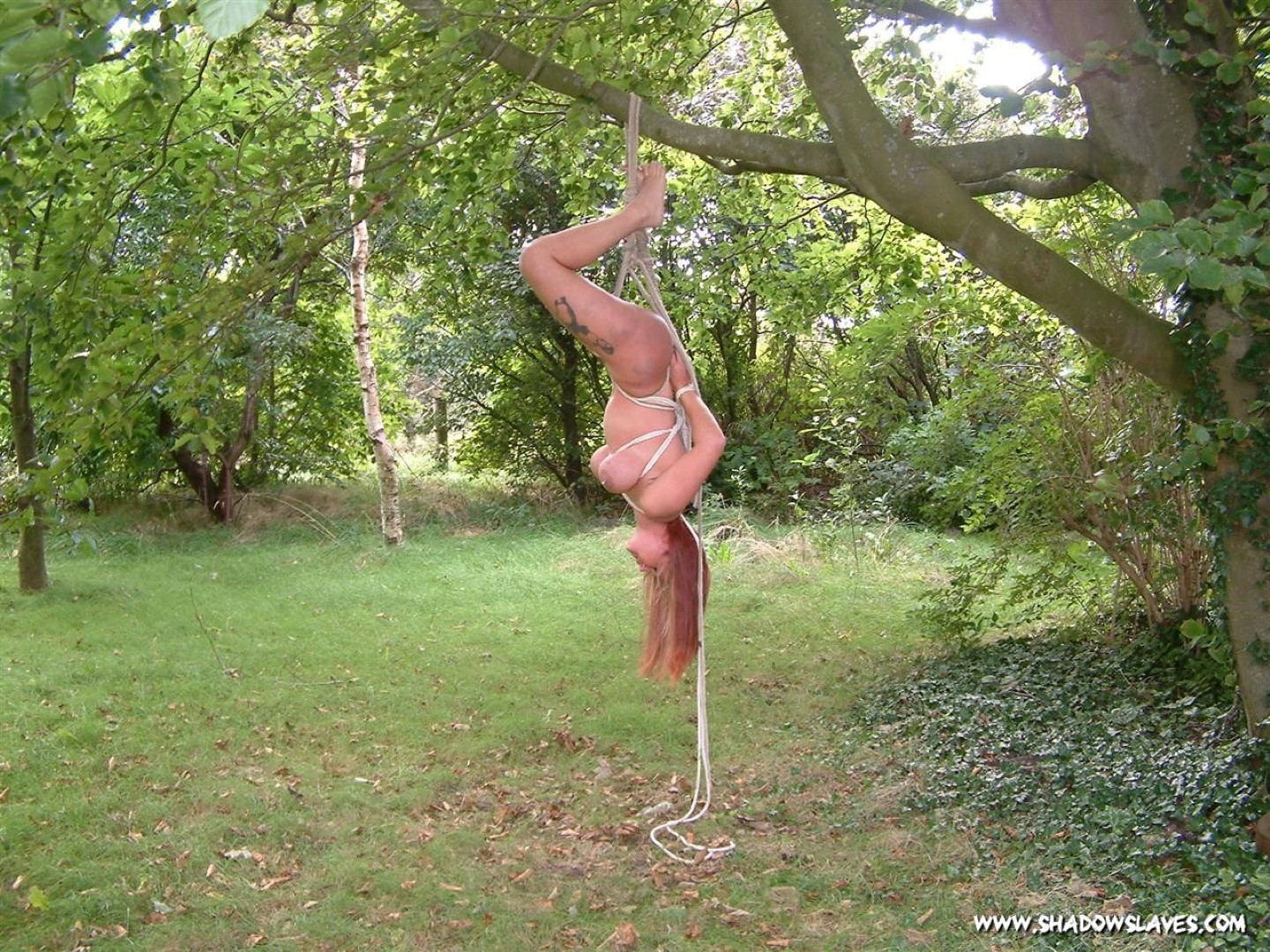Amateur MiLF is bound and suspended from a tree #71893188