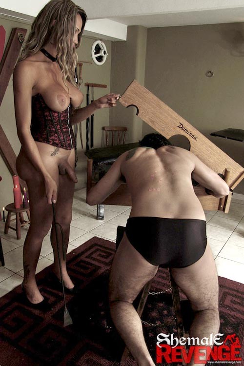 Sadistic shemale tortures her male slave and jerks off all above h #72205166