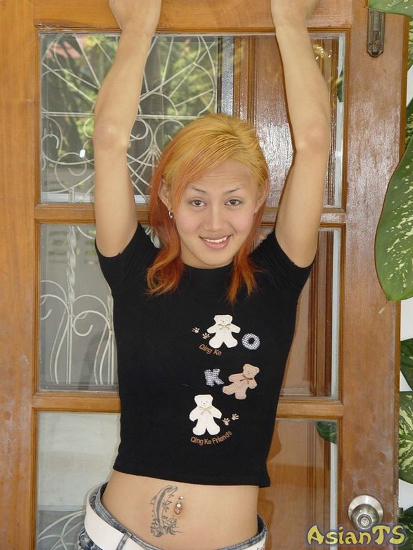 Una ladyboy asiática pequeña y encantadora con una polla enorme
 #79342411