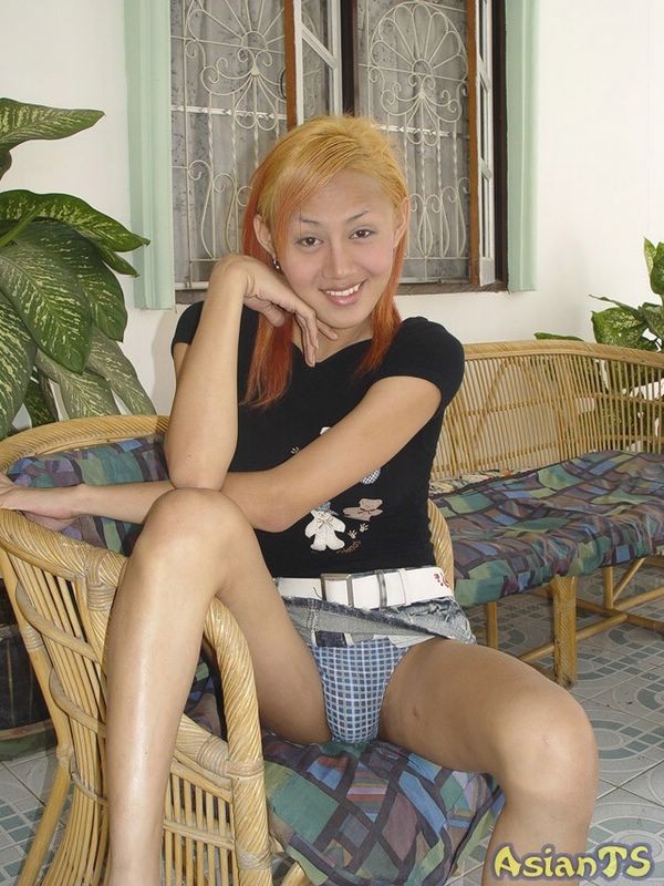 Una ladyboy asiática pequeña y encantadora con una polla enorme
 #79342451
