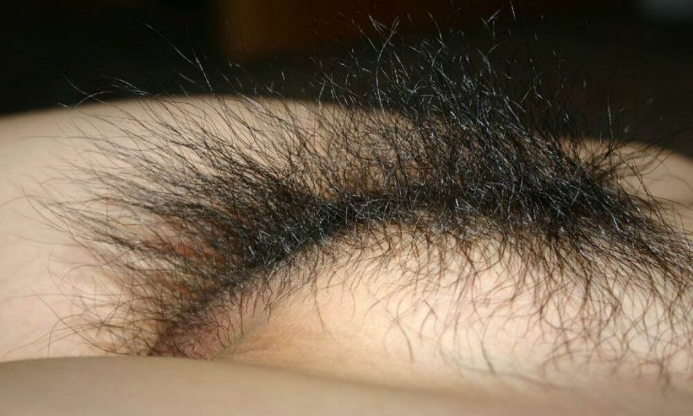 Gfs fighe pelose in posa per foto e scopate
 #71164759