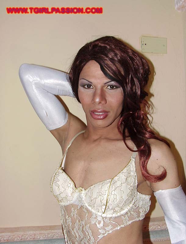 Dominikanischer Transvestit streichelt ihr riesiges Liebesspielzeug
 #79341796