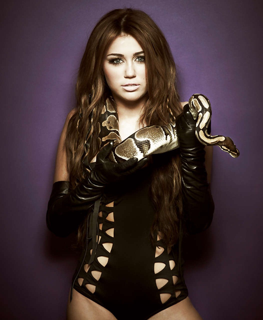 Miley cyrus in reggiseno rosso e pantaloncini e posa sexy con serpente e in calze su
 #75302413