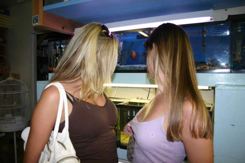 Doppelt endete Dildo lesbischen Spaß
 #76324020
