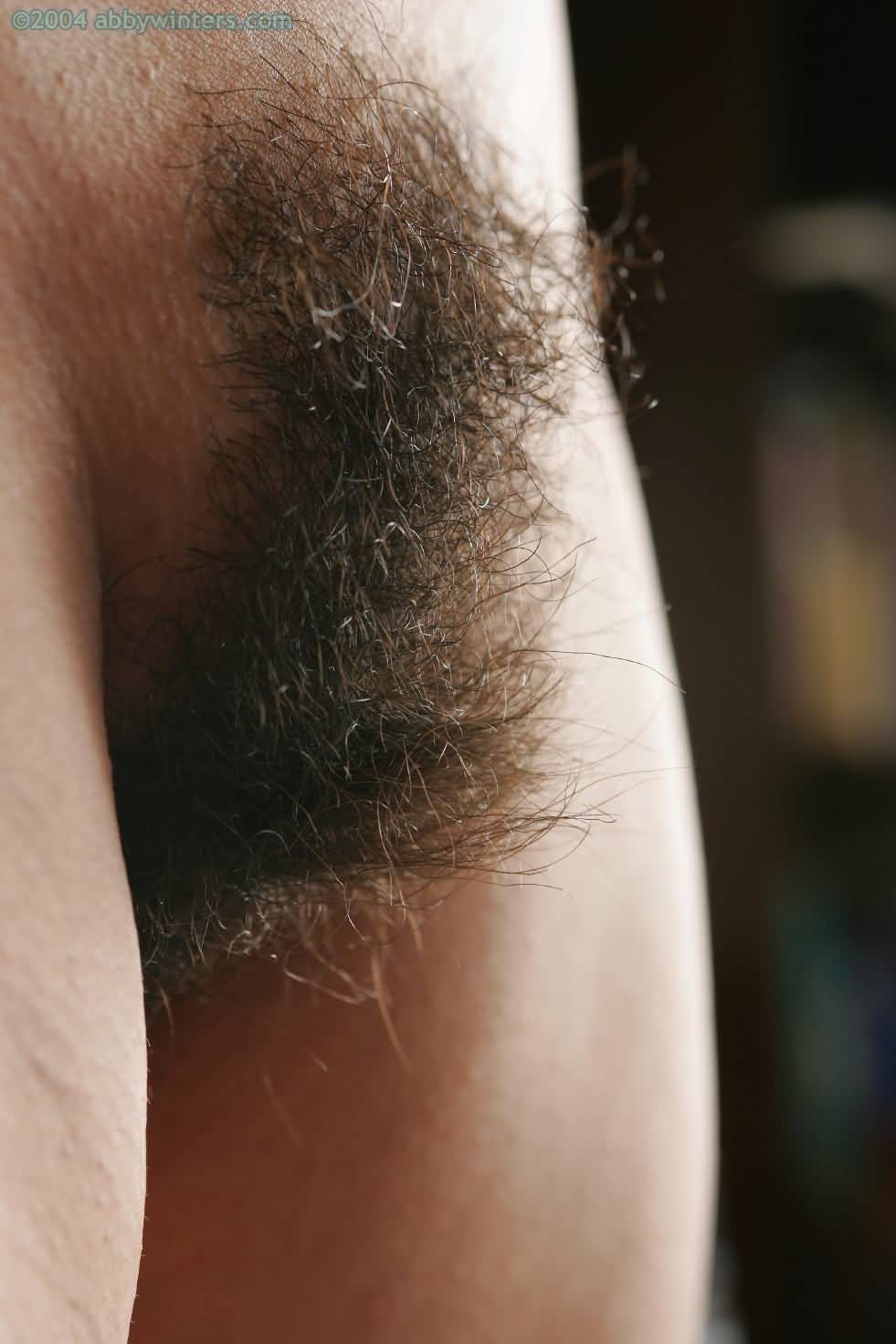 Thick muff on this hairy Aussie amateur #76657234