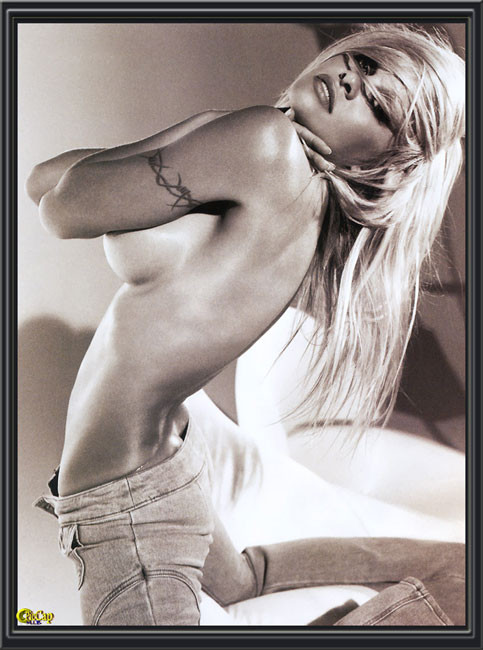 Celebrity Pamela Anderson shows sexy body #75427232