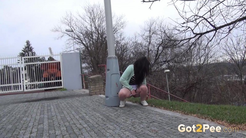 Dark haired girl is watched outside as she pees #67496869