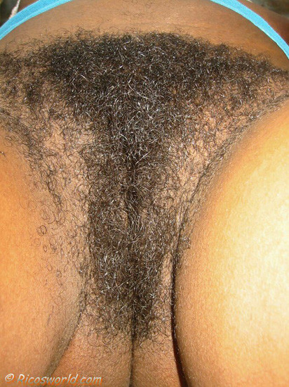 Incredibly hairy black chick #73441186