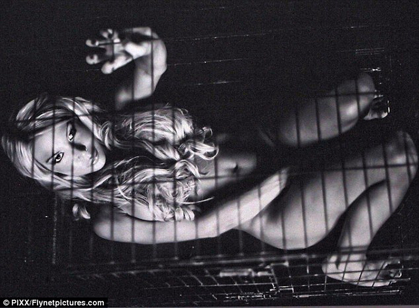 Brooke hogan nue dans une cage pour la nouvelle campagne publicitaire de peta
 #75292022