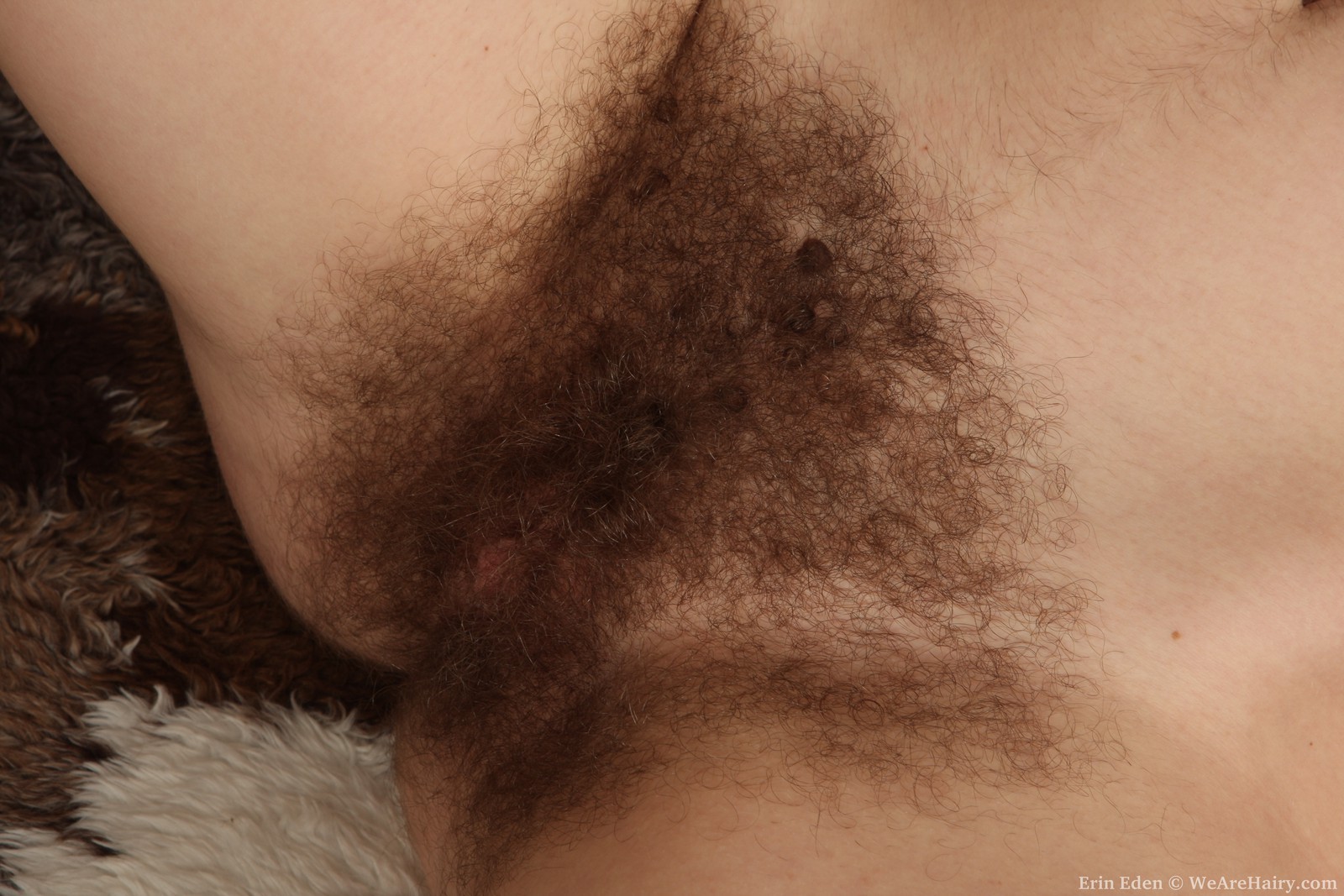 Hairy amateur babe Erin Eden is a wonderful natural gift #77294888