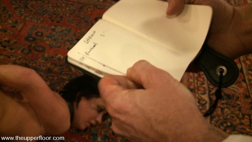 ご主人様が留守の間、奴隷たちははしゃぎまわる
 #70804121