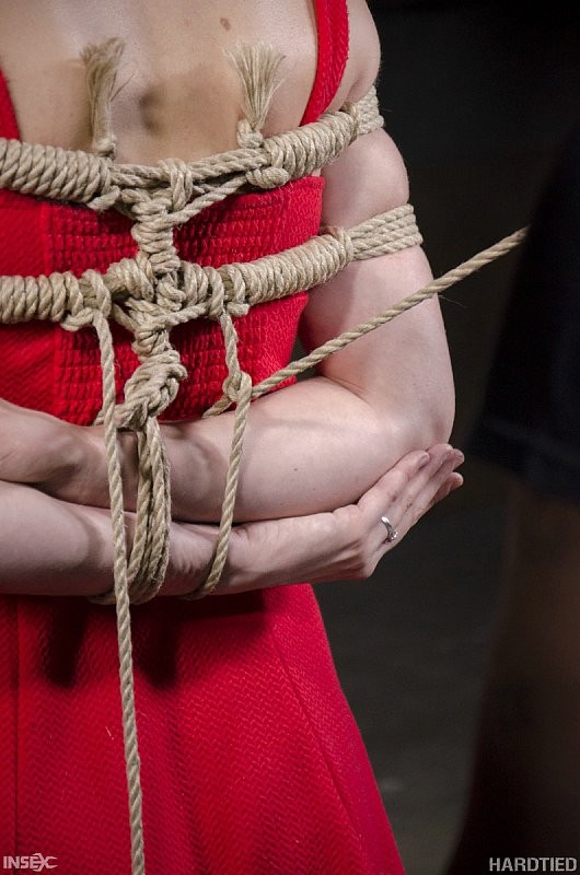 赤いドレスを着たブロンドのモナ・ウェイルズがロープで縛られ、マレドに弄ばれる
 #71930671