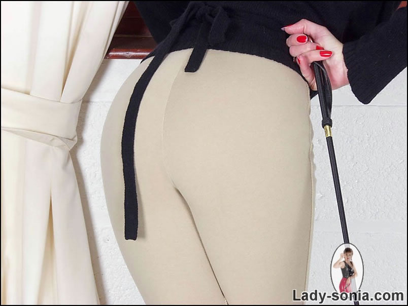 Lange Beine jodhpurs Herrin posiert auf ihre eigene
 #74706339