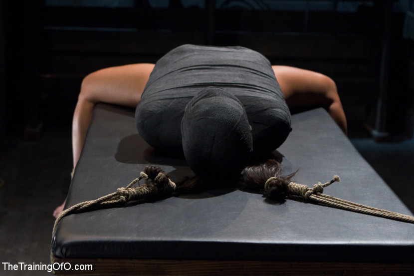 This will be the first day that we have Adrianna without Mr. Pierce present. She #71922652