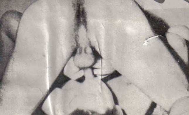 Amateur-Damen aus den 1930er Jahren schlürfen Schwanz in Oralsex-Bildern
 #76590897