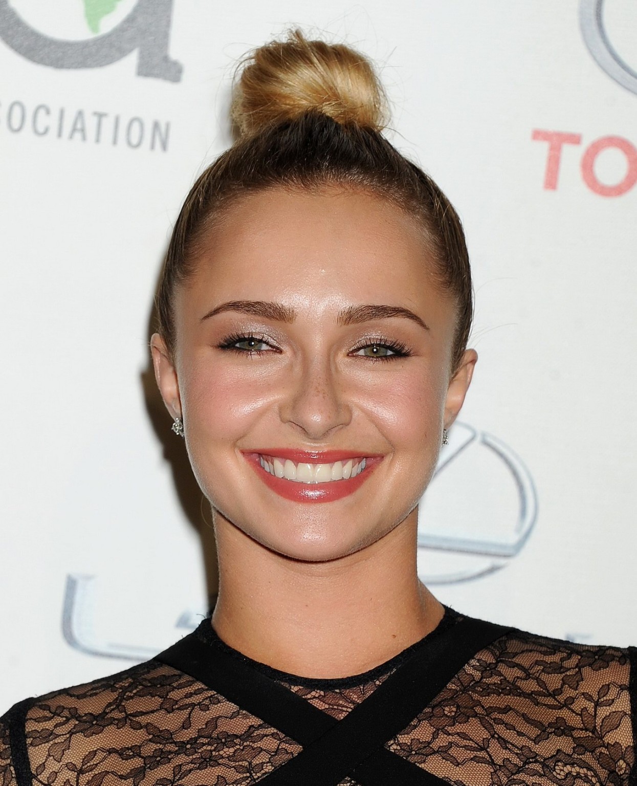 Hayden Panettiere wearing a partially see through dress at the 23rd Annual Envir #75215330