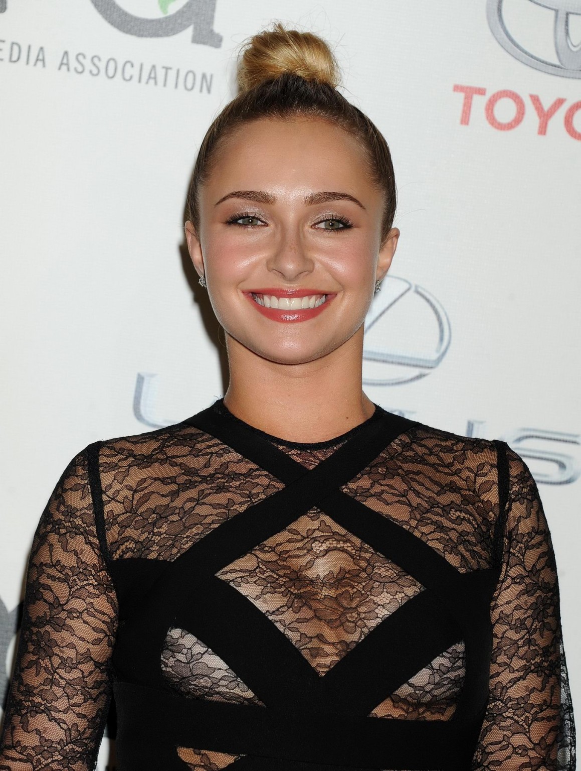 Hayden Panettiere wearing a partially see through dress at the 23rd Annual Envir #75215355