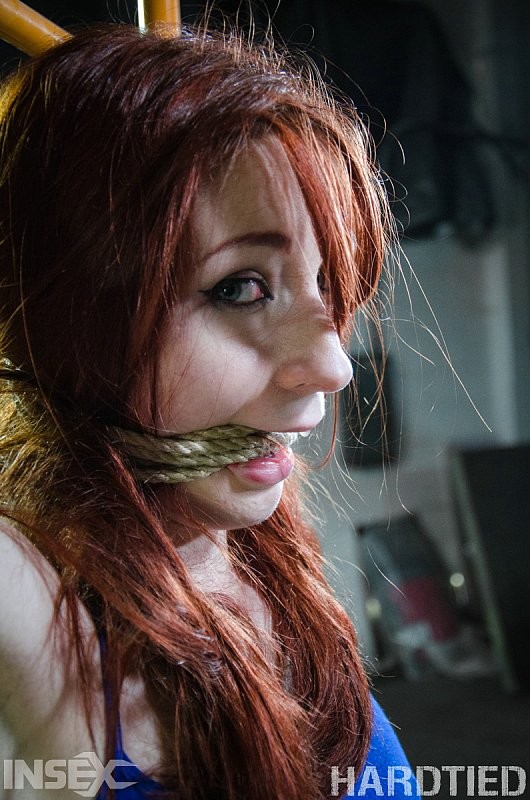 ヴァイオレット・モンロー 変態赤毛は、ロープで縛られ、おもちゃにされてオーガズムに達する。
 #71903747