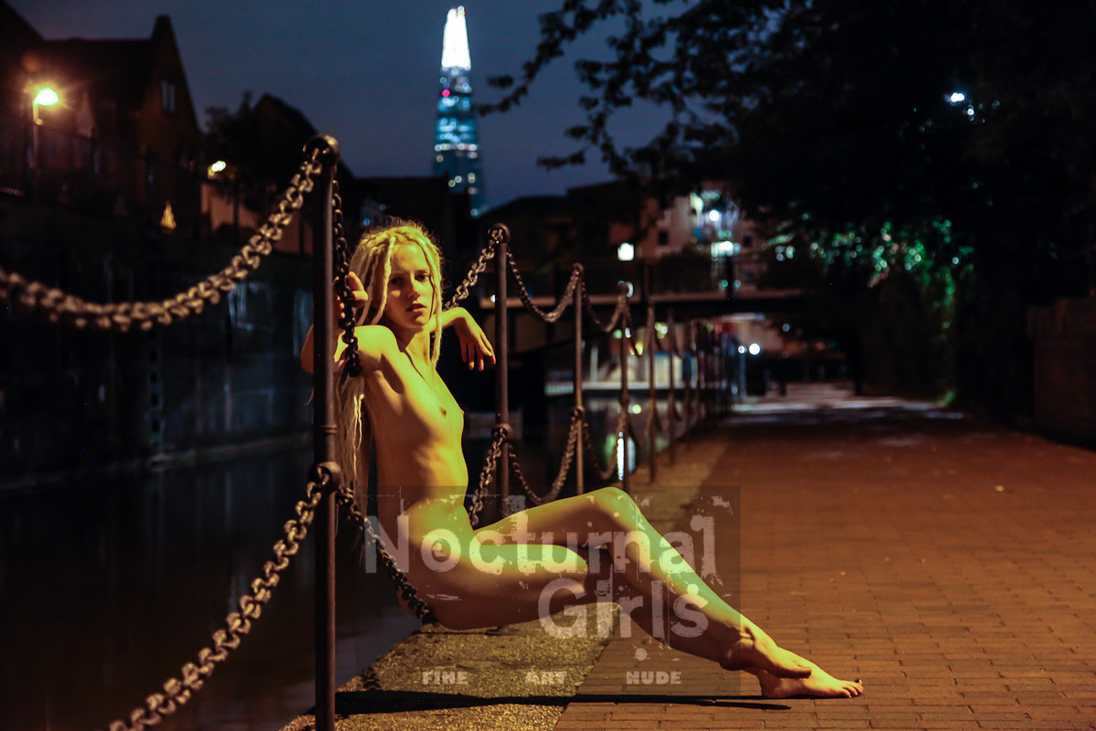 Blond girl posing nude in the night time #73515648