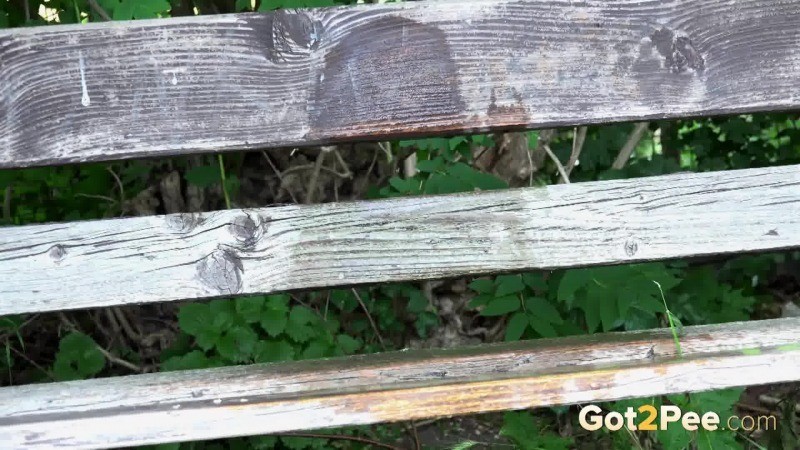 Stunning brunette cant stop peeing on a bench #67486296